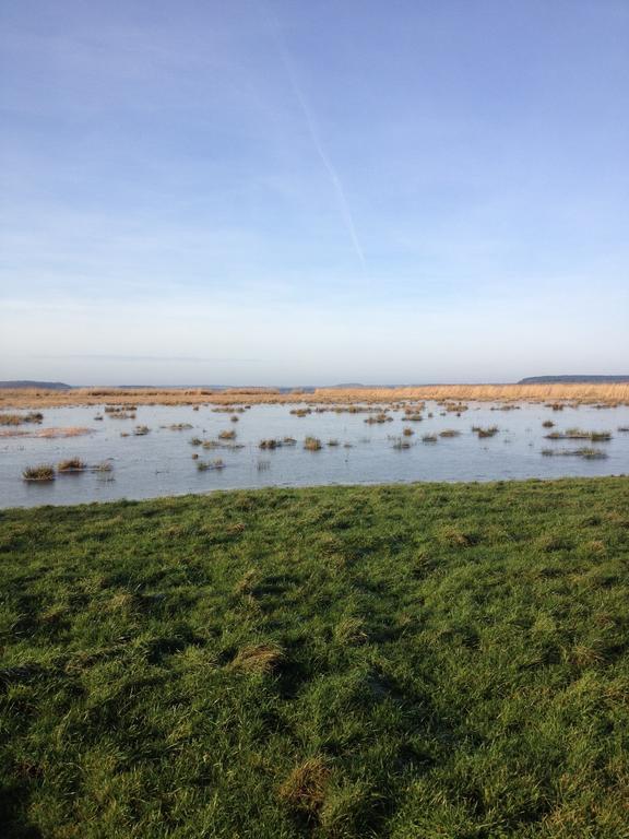 Urlaubsglueck Familien- & Hunde-Paradies Rankwitz Kamer foto